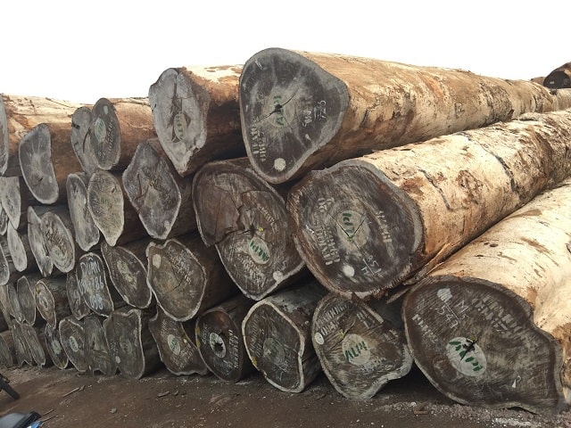 gỗ lim nam phi có mấy loại